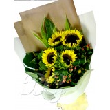 BG_HBQ0017(Sunflower)